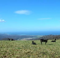 St Marys Seaview Farm - Accommodation Nelson Bay