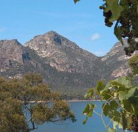 Freycinet on the Bay - Accommodation Nelson Bay