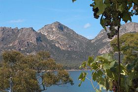 Freycinet On The Bay - Accommodation Nelson Bay 0