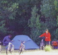 Maria Island Camping Ground - Accommodation Nelson Bay