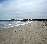 Greens Beach Caravan Park - Accommodation Nelson Bay