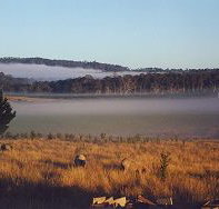 Fonthill - Accommodation Nelson Bay