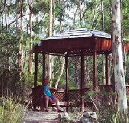Telopea - Accommodation Nelson Bay