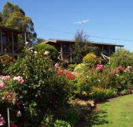 Mole Creek Holiday Village - Accommodation Nelson Bay