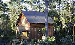 Cradle Mountain Highlanders - Accommodation Nelson Bay 1