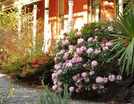 Ormiston House - Accommodation Nelson Bay 3