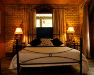 Cedar Park Rainforest Resort - Nelson Bay Accommodation.com 3
