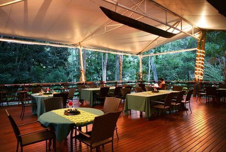 Cedar Park Rainforest Resort - Nelson Bay Accommodation.com 5
