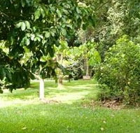 Kingfisher Park Birdwatchers Lodge - Accommodation Nelson Bay