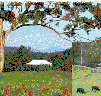 Barking Owl Retreat - Accommodation Nelson Bay