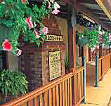 Curtain Fig Motel
