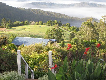 Blue Summit Cottages - Accommodation Nelson Bay 5