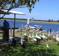 Mountain View Caravan and Mobile Home Village - Accommodation Nelson Bay