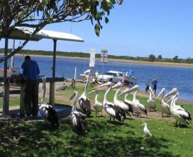Mountain View Caravan And Mobile Home Village - Accommodation Nelson Bay 0