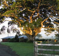 Arley Farm The Old Dairy - Accommodation Nelson Bay