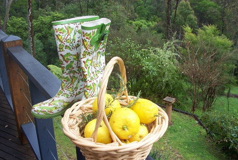 Bellbird Cottage Bed And Breakfast - Accommodation Nelson Bay 4