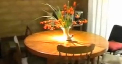 At The Springs Cottages - Accommodation Nelson Bay 2