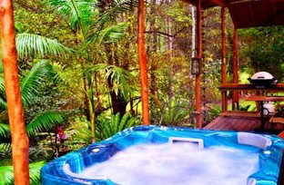 A Waterfall Hideout-Rainforest Cabin For Couples - Accommodation Nelson Bay 5