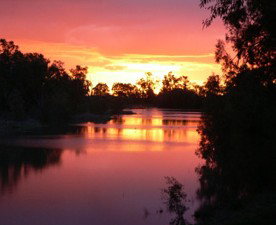 Red Gum Lagoon Cottages - Accommodation Nelson Bay 3
