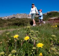 Horizons Apartment 407 - Accommodation Nelson Bay