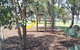 Junee Tourist Park - thumb 1