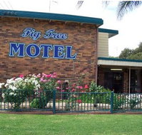 Fig Tree Motel - Accommodation Nelson Bay