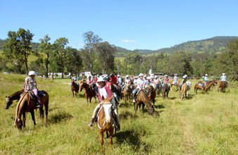 Camp Cobark - Accommodation Nelson Bay 0