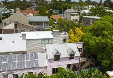 An Oasis In The City - Accommodation Nelson Bay 5