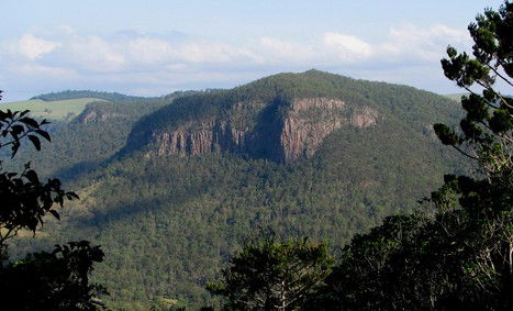 Arborlee Rainforest Retreat - Accommodation Nelson Bay 3