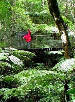 Katandra Mountain Farm House - Accommodation Nelson Bay 2