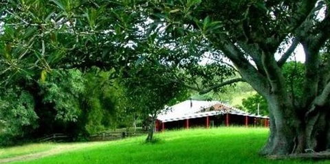 Katandra Mountain Farm House - Accommodation Nelson Bay 5