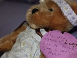 Twilight Grove Farm Bed And Breakfast  - Accommodation Nelson Bay 1