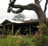 The Hollow Log Country Retreat - Accommodation Nelson Bay