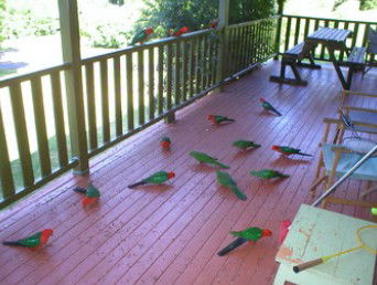 A Little Bit Of Heaven - Holiday Home - Accommodation Nelson Bay 8