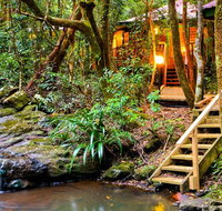 The Mouses House - Rainforest Retreat - Accommodation Nelson Bay