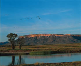 El Questro Homestead - Accommodation Nelson Bay 0