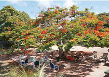 Barnacles Backpackers - Accommodation Nelson Bay 1