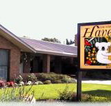 Begonia City Motor Inn - Accommodation Nelson Bay