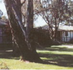 Winbi River Resort - Accommodation Nelson Bay