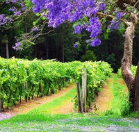 Bago Vineyards - Accommodation Nelson Bay