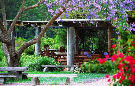 Bago Vineyards - Accommodation Nelson Bay 1