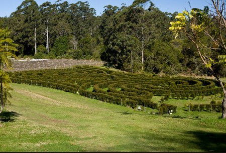 Bago Vineyards - Accommodation Nelson Bay 2