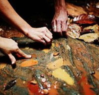 Daintree Eco Lodge And Spa - Accommodation Nelson Bay