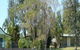 Nimbin Backpackers At Grannys Farm - thumb 0