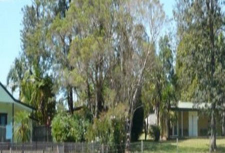 Nimbin Backpackers At Grannys Farm - Accommodation Nelson Bay 0