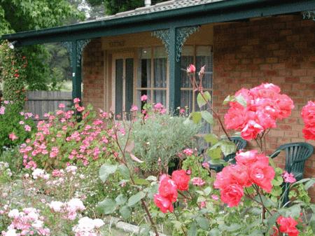 Balnarring Village Motor Inn - Accommodation Nelson Bay 5