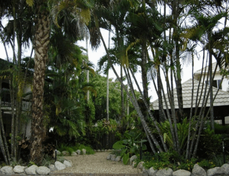 High Chaparral Motel And Apartments - Accommodation Nelson Bay 1
