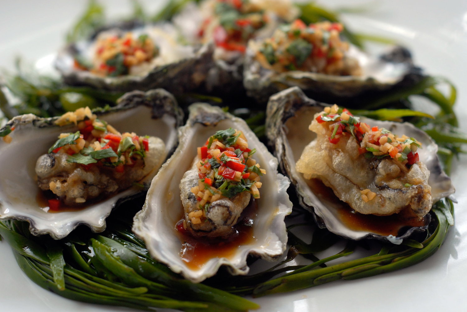 Mollymook NSW Accommodation Nelson Bay