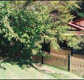 Apple Tree Cottage - Accommodation Nelson Bay
