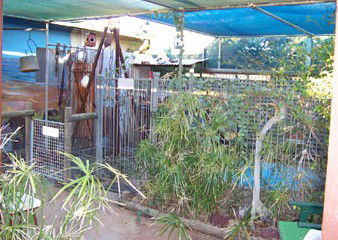 Safari Lodge Motel - Accommodation Nelson Bay 1